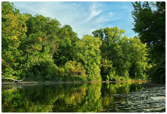 Rocky River river and tree line – Embrace the beauty of Rocky River with CLE Disposal's efficient and affordable dumpster rentals.